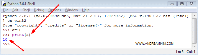 Python displays the value assigned to the variable