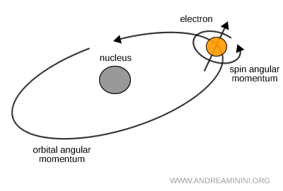 comparison between orbital angular momentum and spin