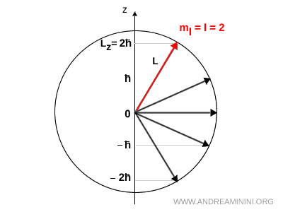 example with maximum magnetic projection