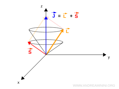example of orbital and spin angular momentum