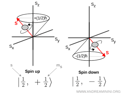 Illustration of spin up and spin down states