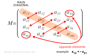 The antisymmetric matrix.