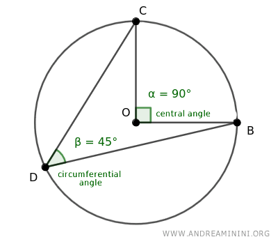Comparison between central and circumferential angles