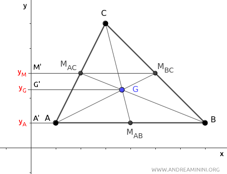 the projection of the median onto the y-axis