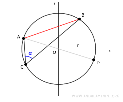 segment AD