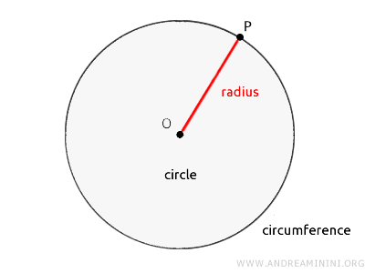 the circumference and the radius