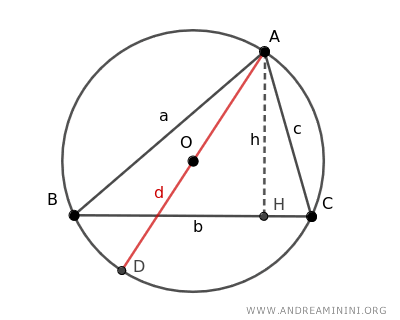 the diameter of the circle and the height of the triangle