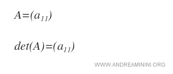 calculating the determinant in a square matrix of order one