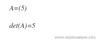 the determinant of matrix det(A)=5