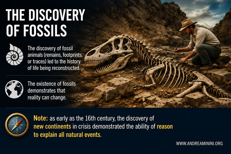 the discovery of dinosaur fossils