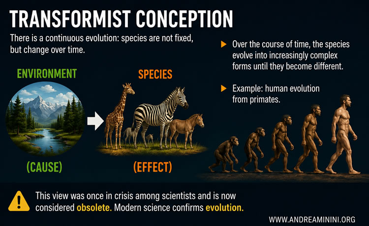 the evolution of species
