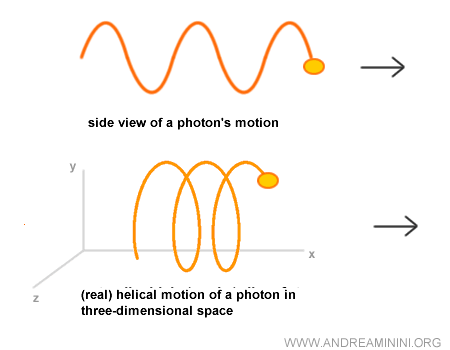 the photon