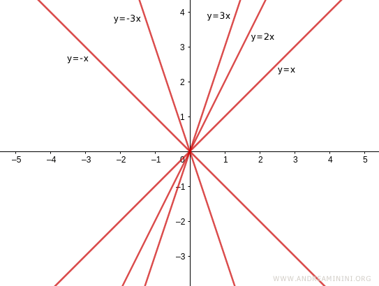 a family of lines passing through the origin