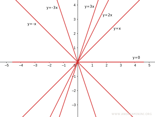 the family of lines passing through the origin