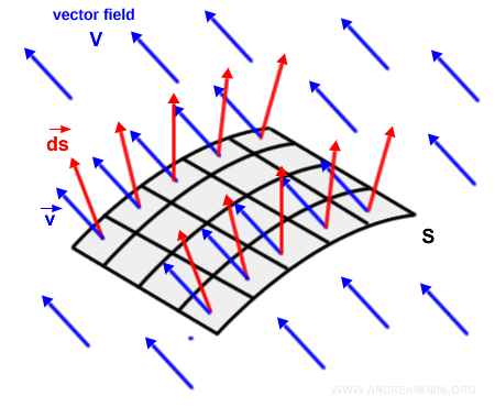 vector field applied to the surface