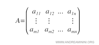 the coefficient matrix