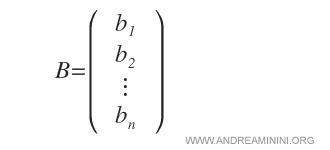 the constant vector