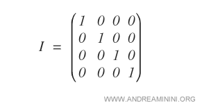 an example of identity matrix