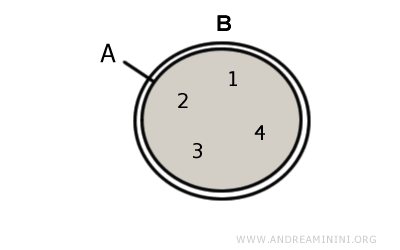 the two sets are equal