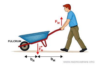 example of a second-class lever