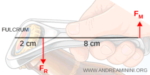 schematic lever diagram showing fulcrum and applied forces
