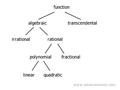 Different categories of functions