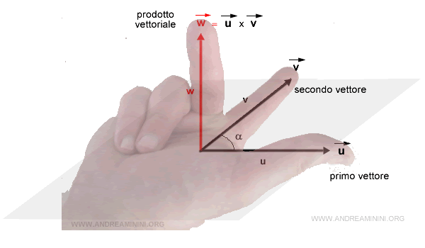 the right-hand rule