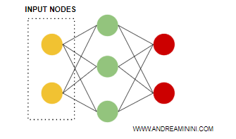 input nodes