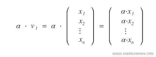 scalar multiplication of a vector