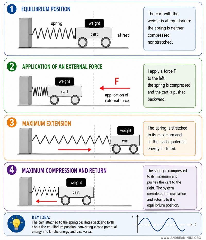 measurement of inertial mass using an inertial balance