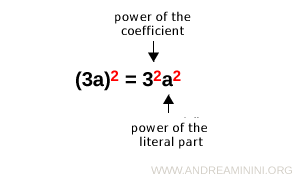 raising a monomial to a power