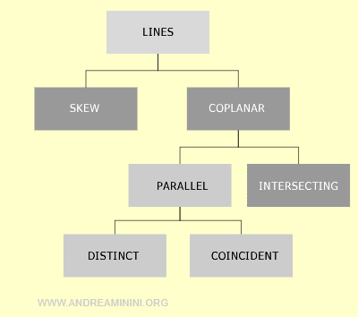 The difference between skew lines, coplanar parallel lines, or coplanar intersecting lines