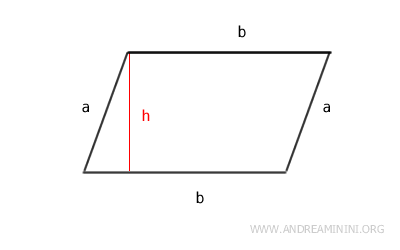 the parallelogram