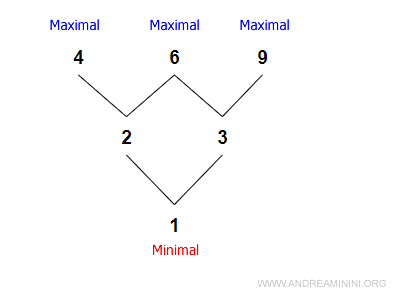 example showing maximal and minimal elements