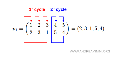 example of disjoint cycles