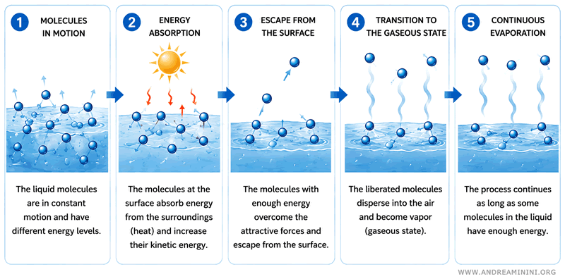 how evaporation occurs