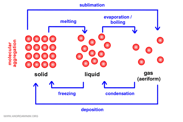 molecular organization and phase changes