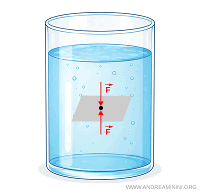 balanced pressure forces at an internal point of a fluid in equilibrium