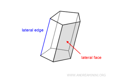 lateral faces