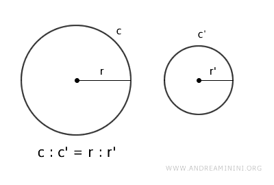proportionality between circumference and radius