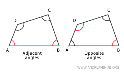 difference between opposite and adjacent angles