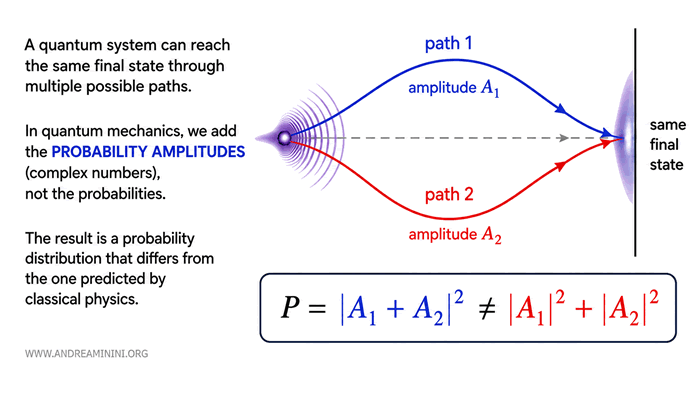 probability amplitudes and interference term