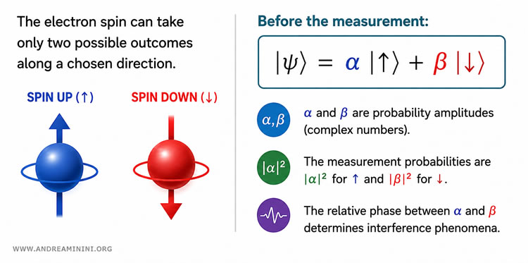 electron spin in a quantum superposition