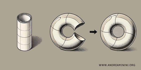 example of a torus