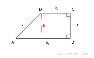 the larger and smaller base of the right-angled trapezoid