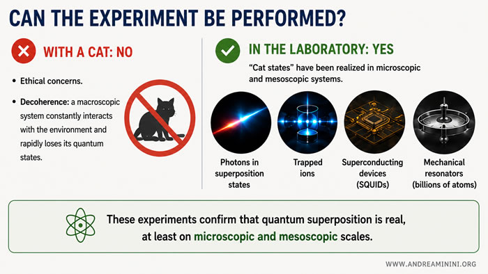 laboratory realization of Schrödinger cat states