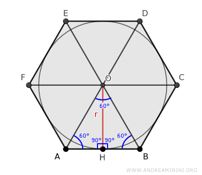 the right triangle AHO