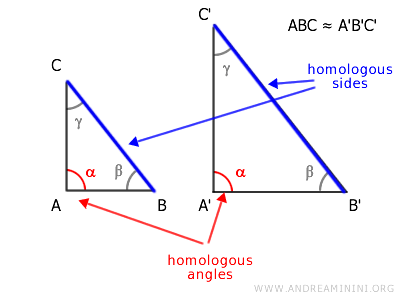 homologous sides and angles