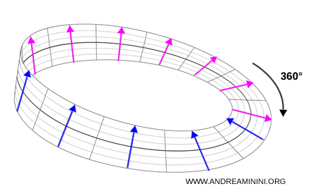 M&ouml;bius strip analogy illustrating spinor reversal after 360 degrees