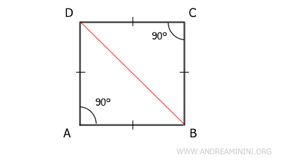 diagonal BD divides the square into two isosceles right triangles